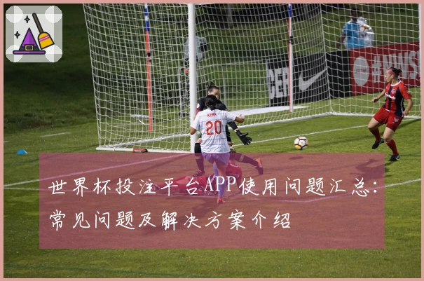 世界杯投注平台APP使用问题汇总：常见问题及解决方案介绍