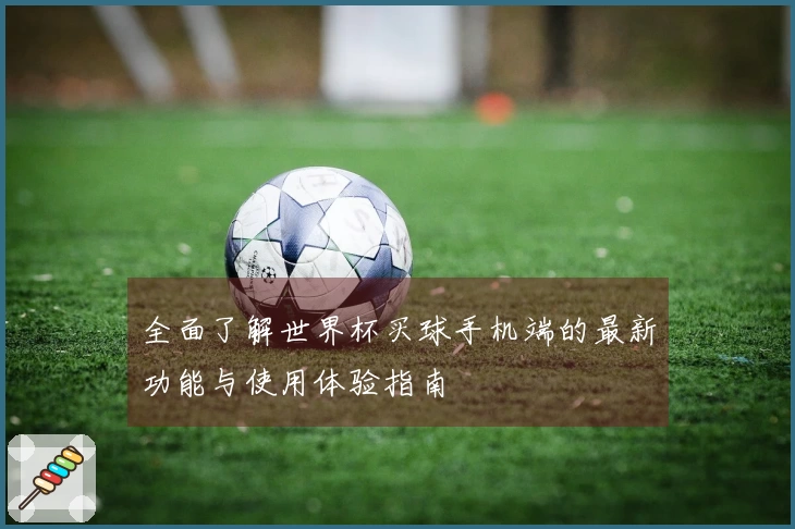 全面了解世界杯买球手机端的最新功能与使用体验指南