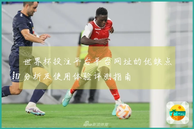 世界杯投注平台平台网址的优缺点分析及使用体验评测指南