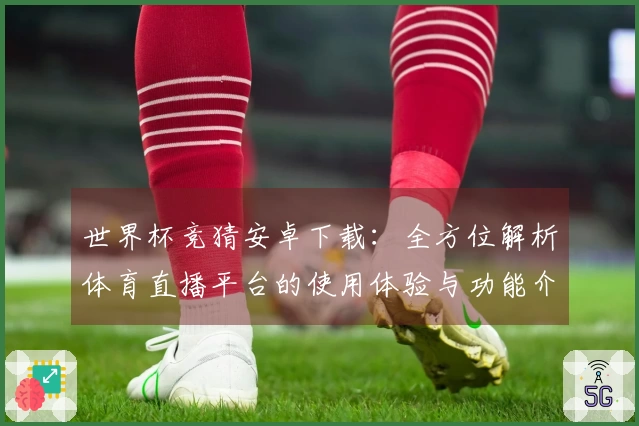 世界杯竞猜安卓下载：全方位解析体育直播平台的使用体验与功能介绍