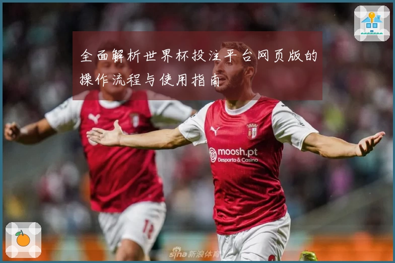 全面解析世界杯投注平台网页版的操作流程与使用指南