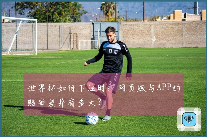 世界杯如何下注时，网页版与APP的赔率差异有多大？