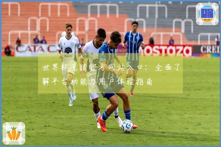 世界杯竞猜官方网站入口：全面了解平台功能与用户体验指南