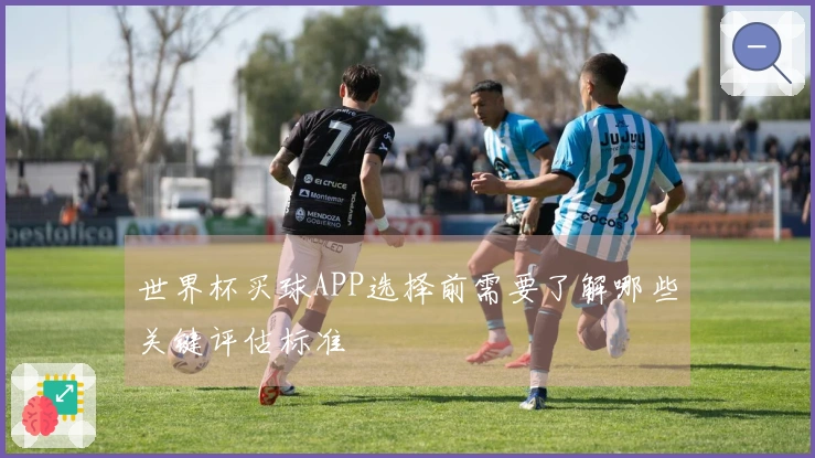 世界杯买球APP选择前需要了解哪些关键评估标准