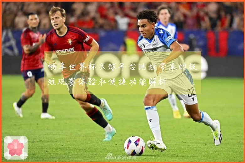 畅享世界杯买球平台地址带来的极致观赛体验和便捷功能解析