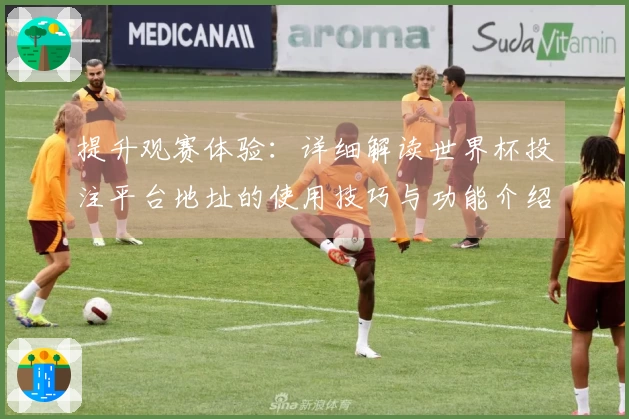 提升观赛体验：详细解读世界杯投注平台地址的使用技巧与功能介绍