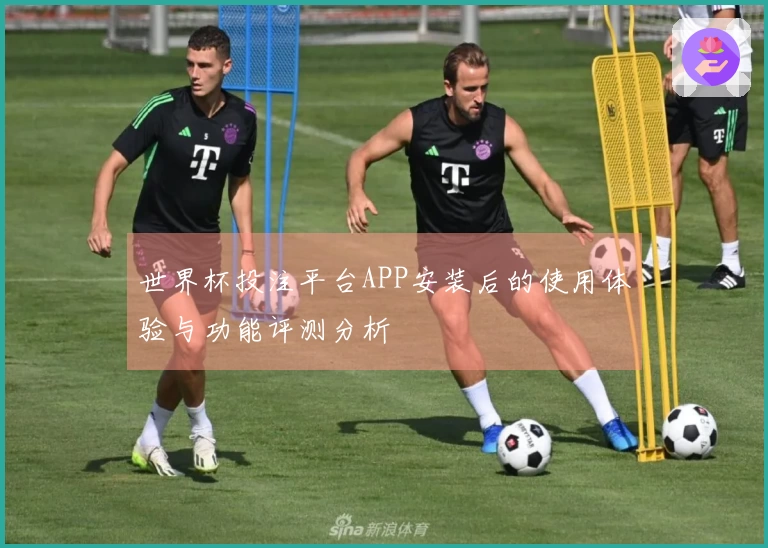 世界杯投注平台APP安装后的使用体验与功能评测分析
