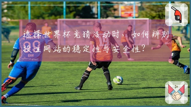 选择世界杯竞猜活动时，如何辨别投注网站的稳定性与安全性？