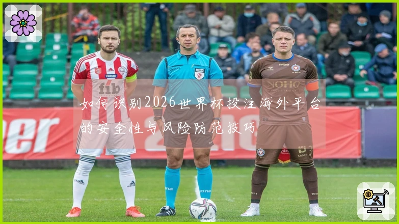 如何识别2026世界杯投注海外平台的安全性与风险防范技巧