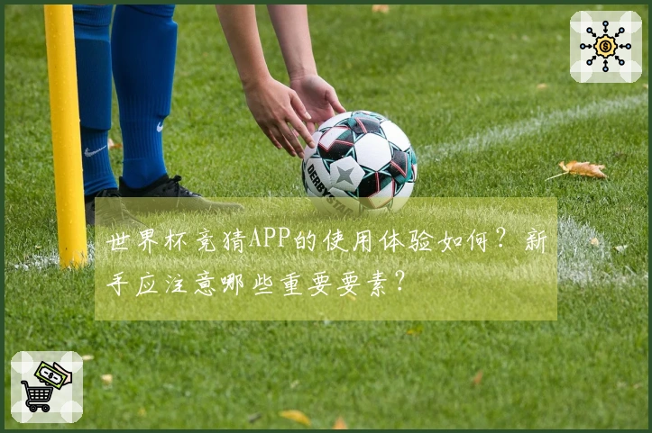 世界杯竞猜APP的使用体验如何？新手应注意哪些重要要素？