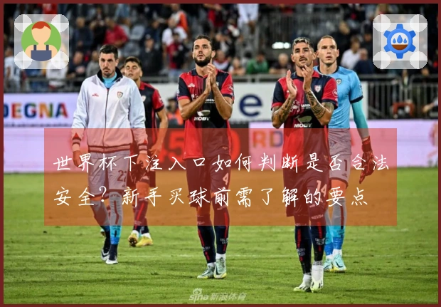 世界杯下注入口如何判断是否合法安全？新手买球前需了解的要点